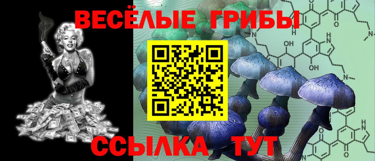 Галлюциногенные грибы ЛСД Клинцы