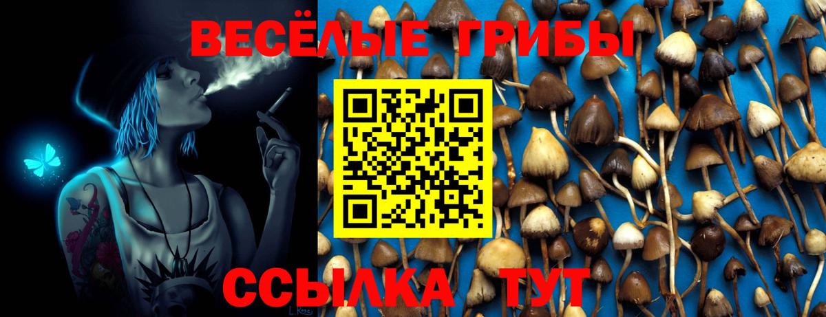 Галлюциногенные грибы ЛСД  Галлюциногенные грибы Psilocybe  Вход с VPN  дарнет шоп  Клинцы 
